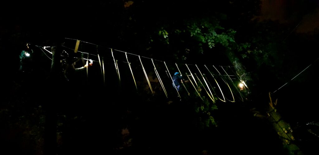 Nocturne à Ecodrome